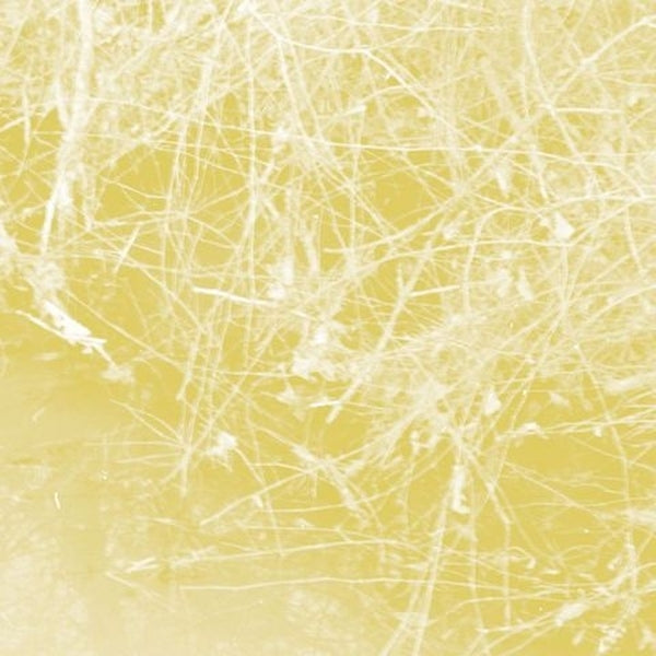CELER - Cursory Asperses - CD