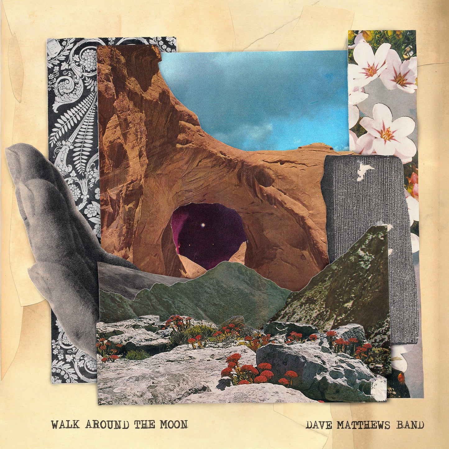 Dave Matthews Band - Walk Around The Moon (Wide Vinyl, Black) - Vinyl