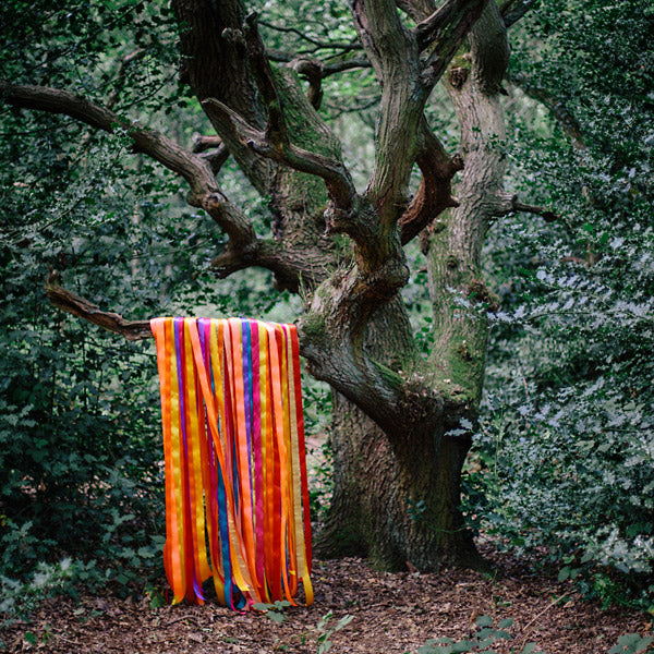 JAMES HOLDEN & THE ANIMAL SPIRITS - The Animal Spirits - CD