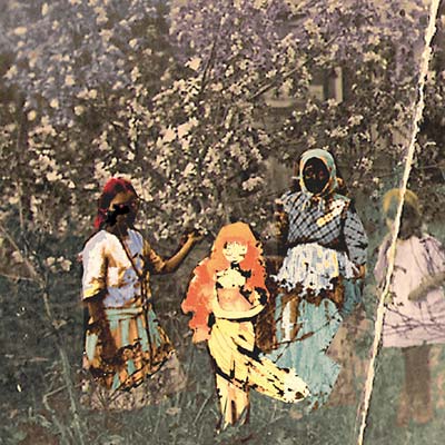 PAAVOHARJU - Laulu Laakson Kukista - CD