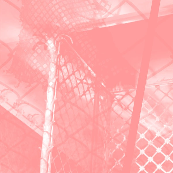 PINKCOURTESYPHONE - All Intensive Purposes - CD