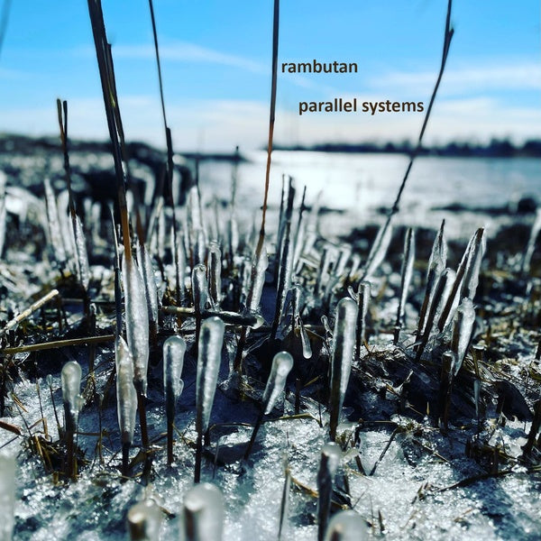 RAMBUTAN - Parallel Systems - CD