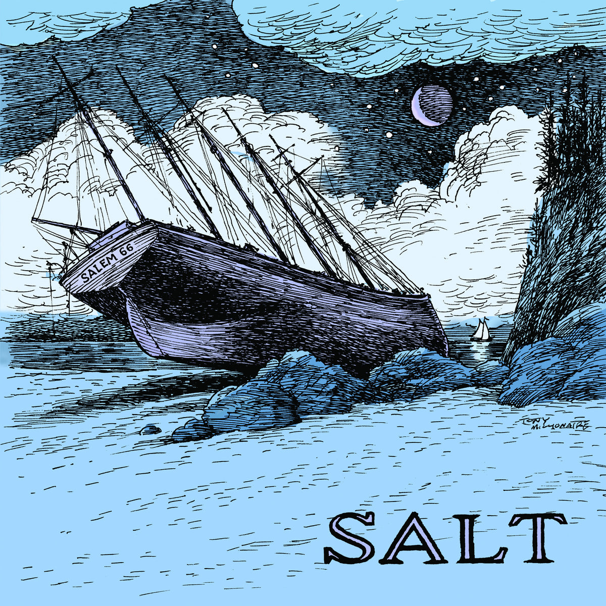 Salem 66 - Salt - CD