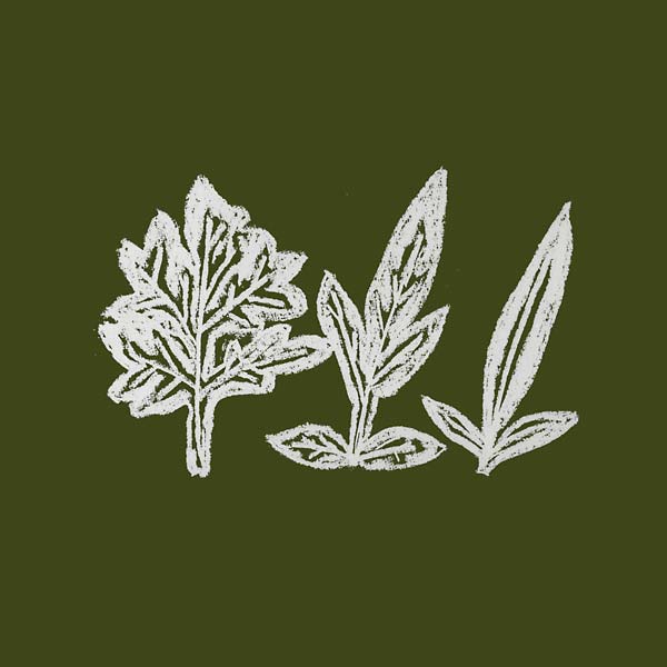 UENO TAKASHI - Variations of Weeds - CD