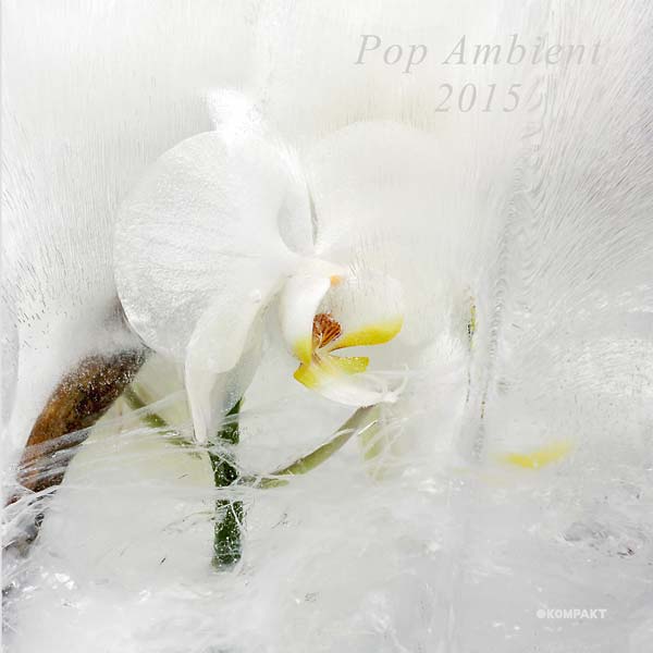 Va - Pop Ambient 2015 - CD