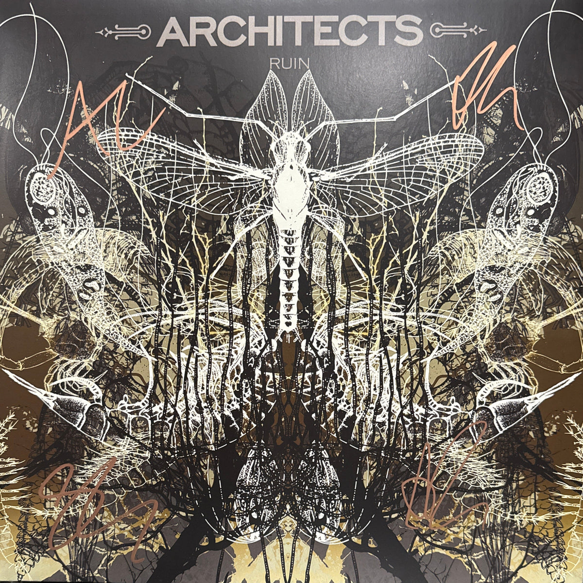 Architects ‎– Ruin - signed record
