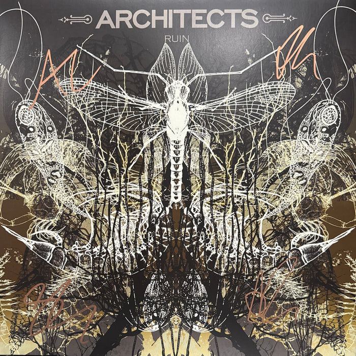 Architects ‎– Ruin - signed record