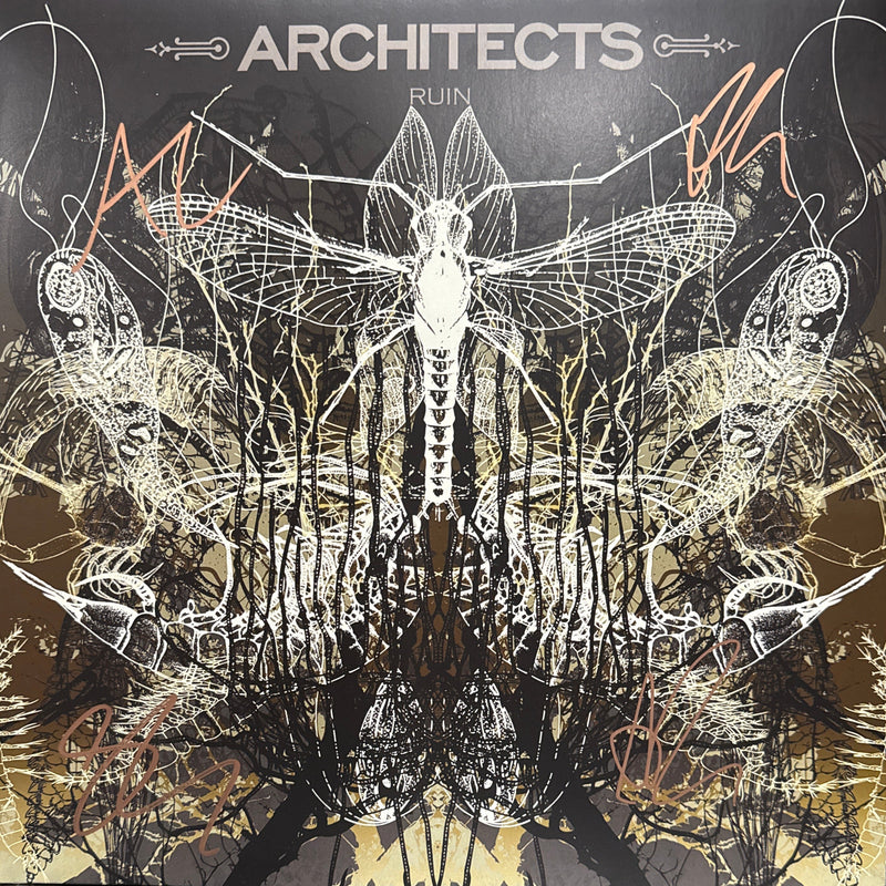 Architects ‎– Ruin - signed record