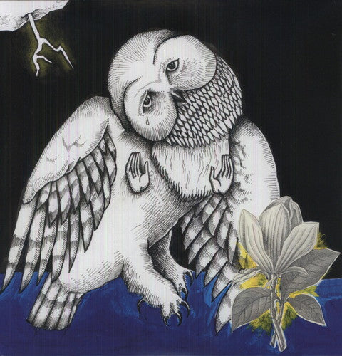 Songs: Ohia - Magnolia Electric Company Co - Vinyl