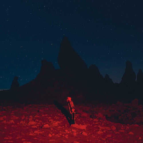 Phoebe Bridgers - Punisher - Vinyl