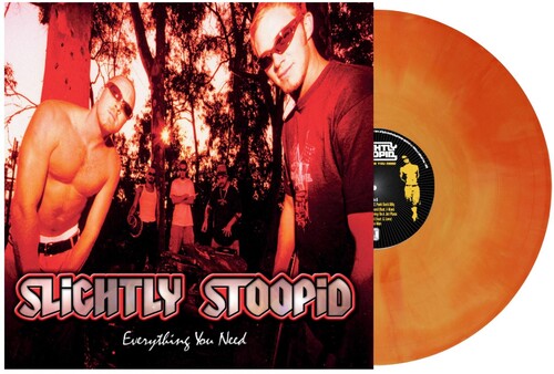 Slightly Stoopid - Everything You Need - Vinyl