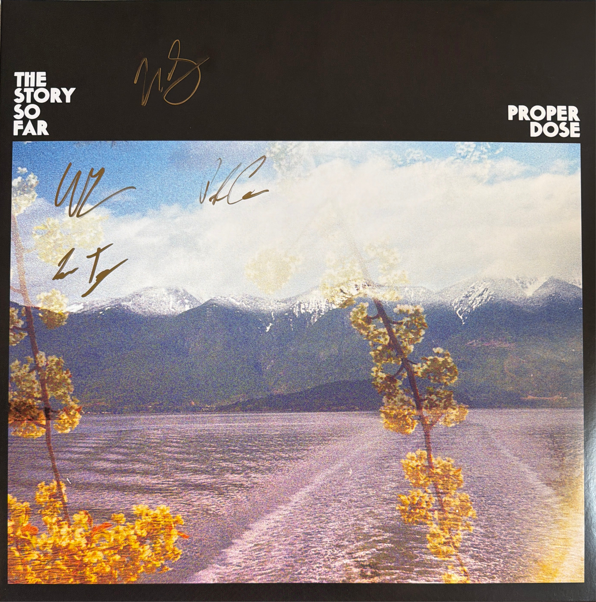 The Story So Far – Proper Dose - signed record