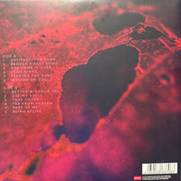 Evanescence ‎– The Bitter Truth - signed record