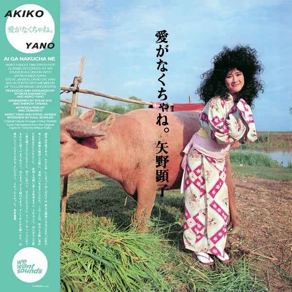 AKIKO YANO - Ai Ga Nakucha Ne - Vinyl