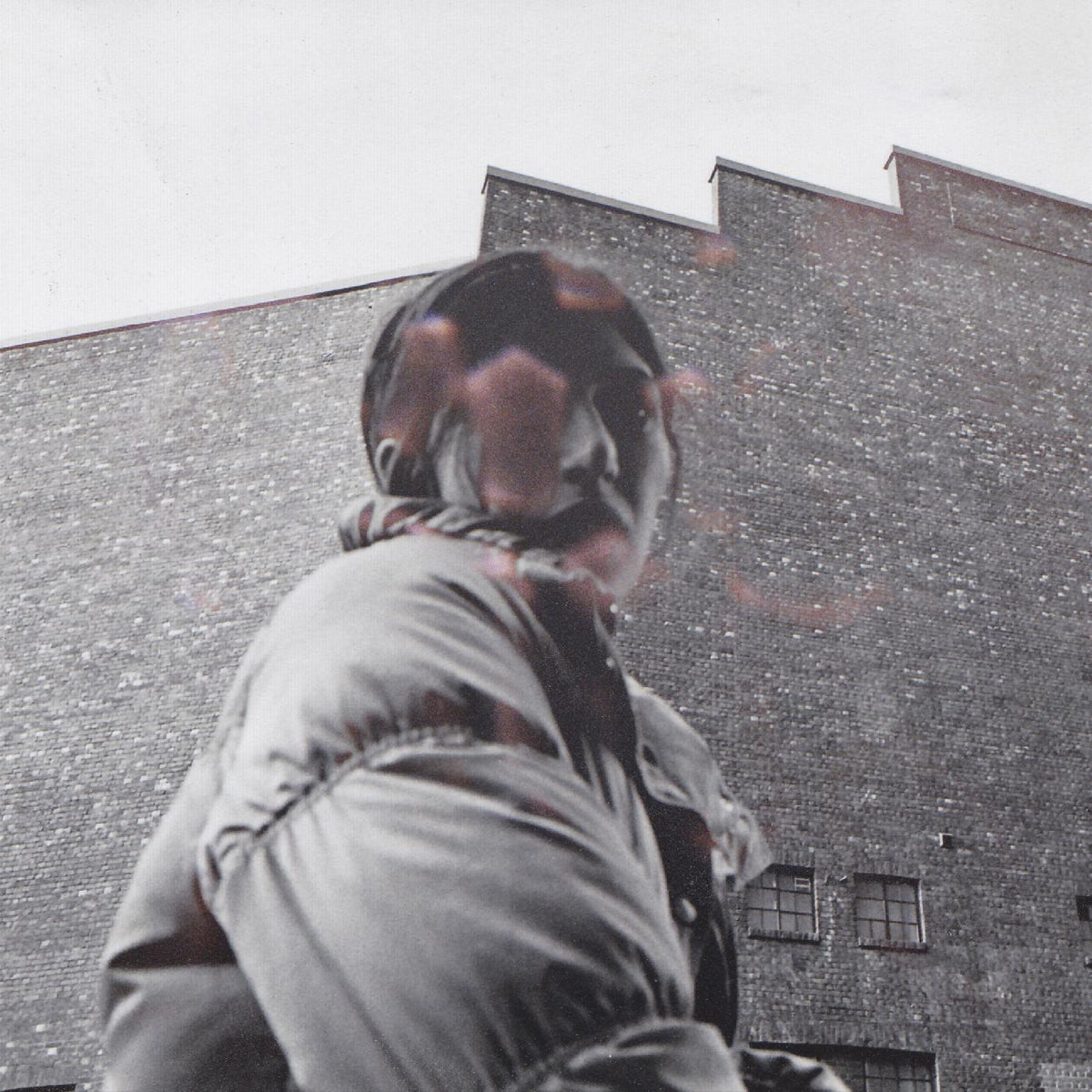 Aldous Harding - Warm Chris - Vinyl