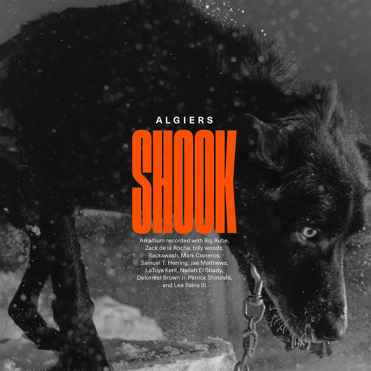 Algiers - Shook - Vinyl