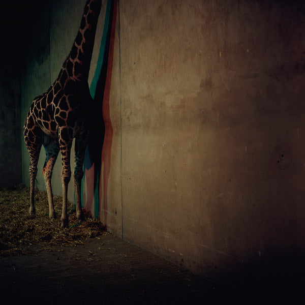 ALIEN ENSEMBLE - Alien Ensemble 2 - CD