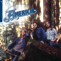 America - Now Playing - Vinyl