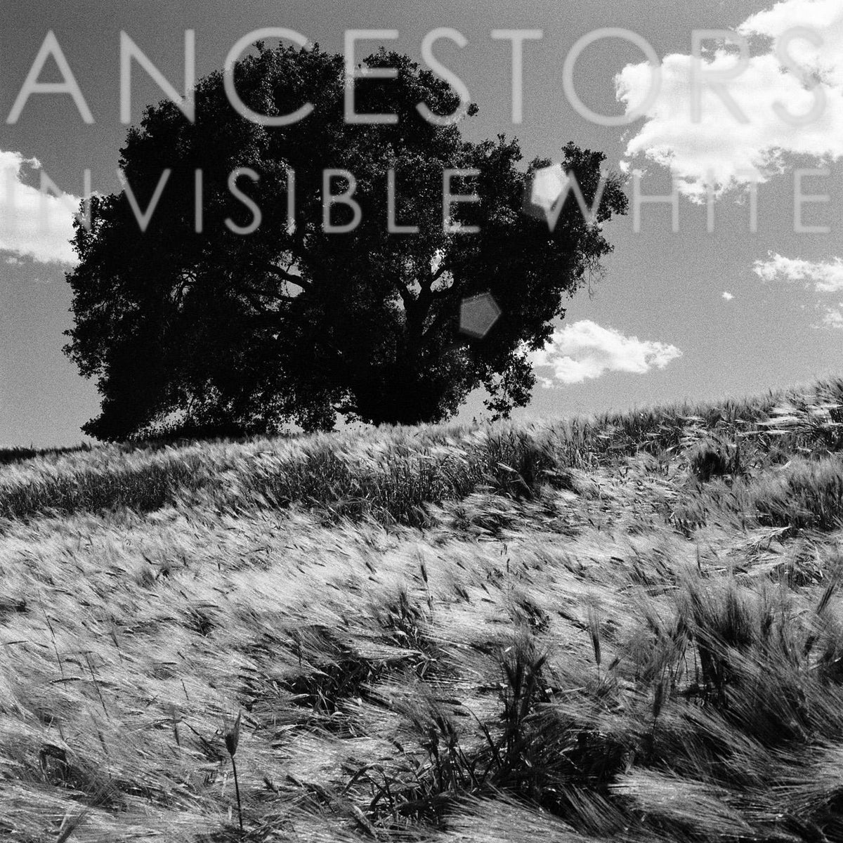 Ancestors - Invisible White (OPAQUE GRAY VINYL) - Vinyl