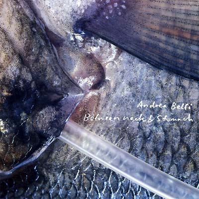 ANDREA BELFI - Between Neck & Stomach - CD