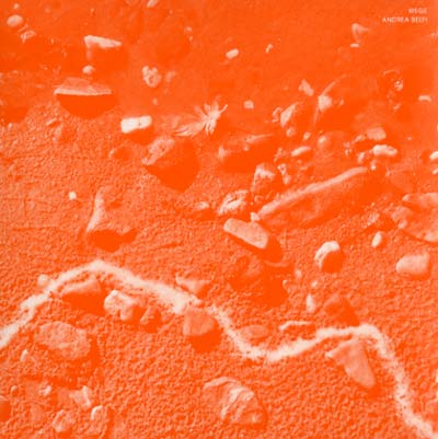 ANDREA BELFI - Wege - CD