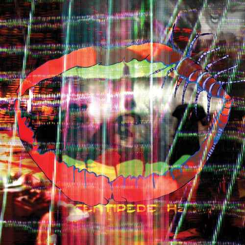 Animal Collective - Centipede HZ (MP3 Download) (2LP) - Vinyl