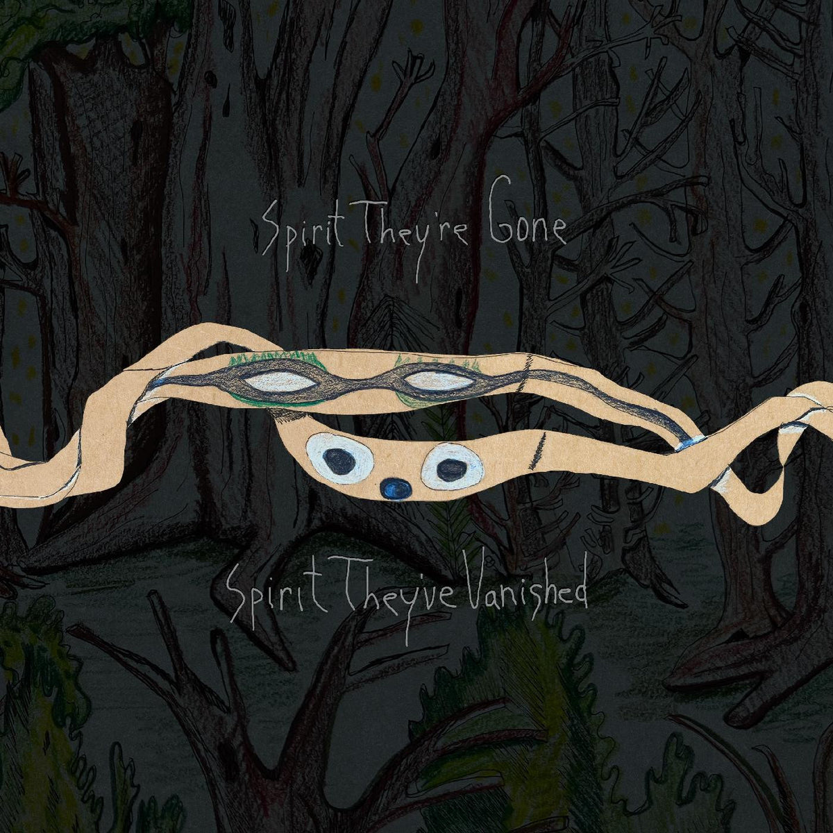 Animal Collective - Spirit They're Gone, Spirit They've Vanished (Remastered 2023) - Vinyl