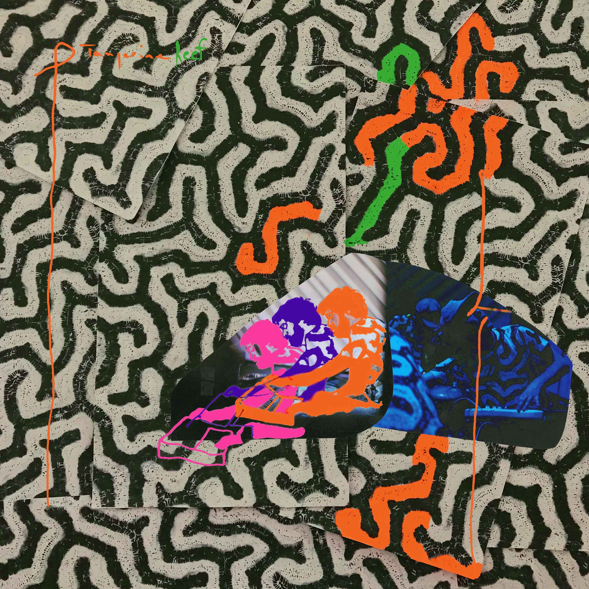 Animal Collective - Tangerine Reef - Vinyl