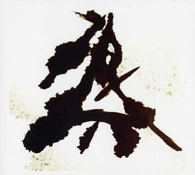 ANTYE GREIE (AKA AGF) - Einzelkämpfer (Lone Warrior) - CD