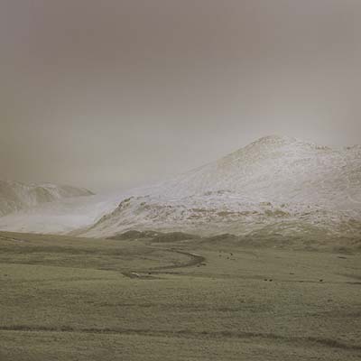 AR - Wolf Notes - Vinyl