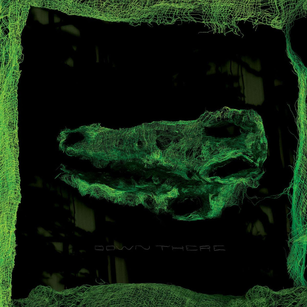 Avey Tare - Down There - Vinyl