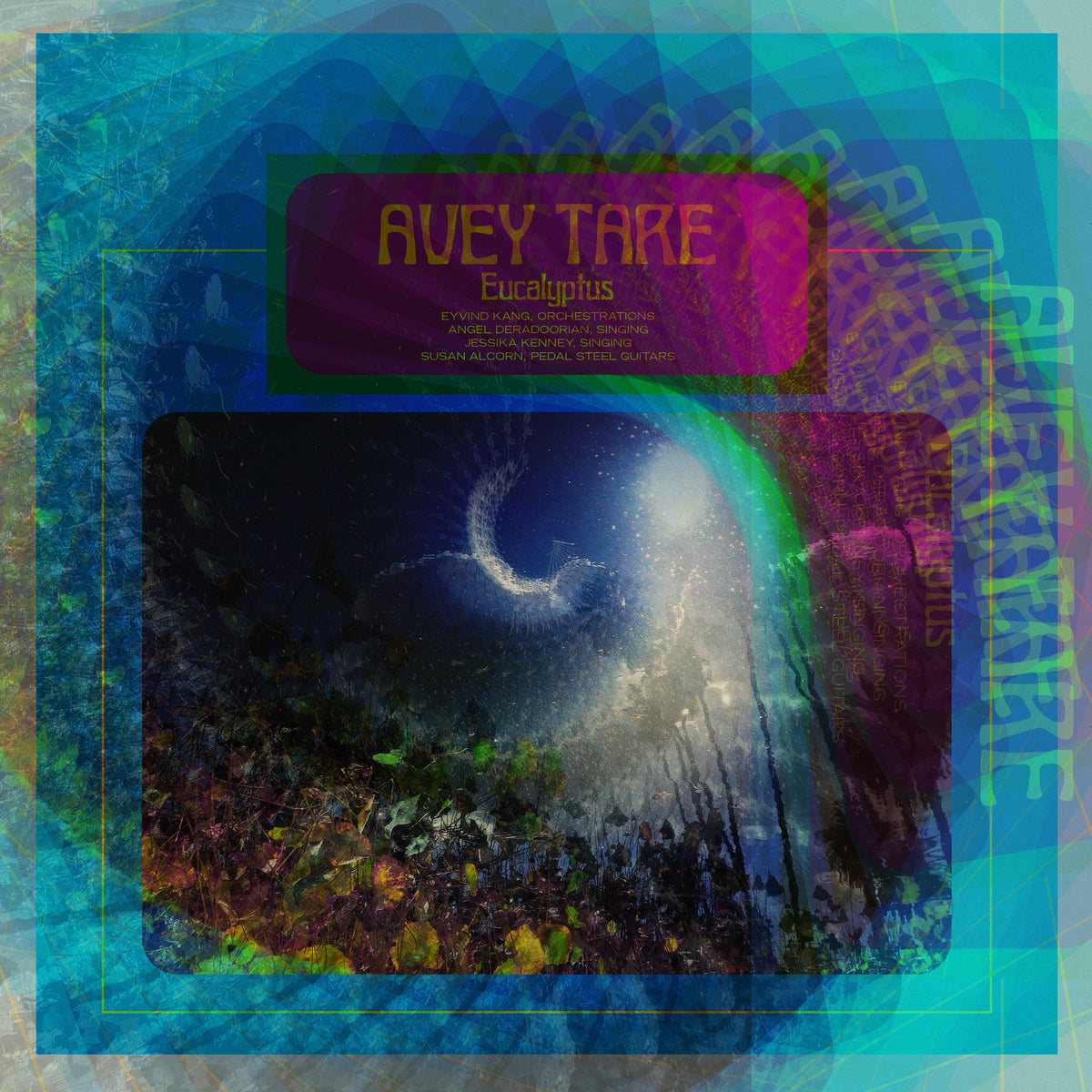 Avey Tare - Eucalyptus - Vinyl