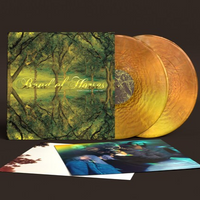 Band Of Horses - Everything All the Time (20th Anniversary Edition) (Limited Edition, Metallic Gold Colored Vinyl) (2 Lp's) - Vinyl