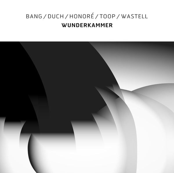 Bang/Duch/Honore/Toop/Wastell - Wunderkammer - Vinyl