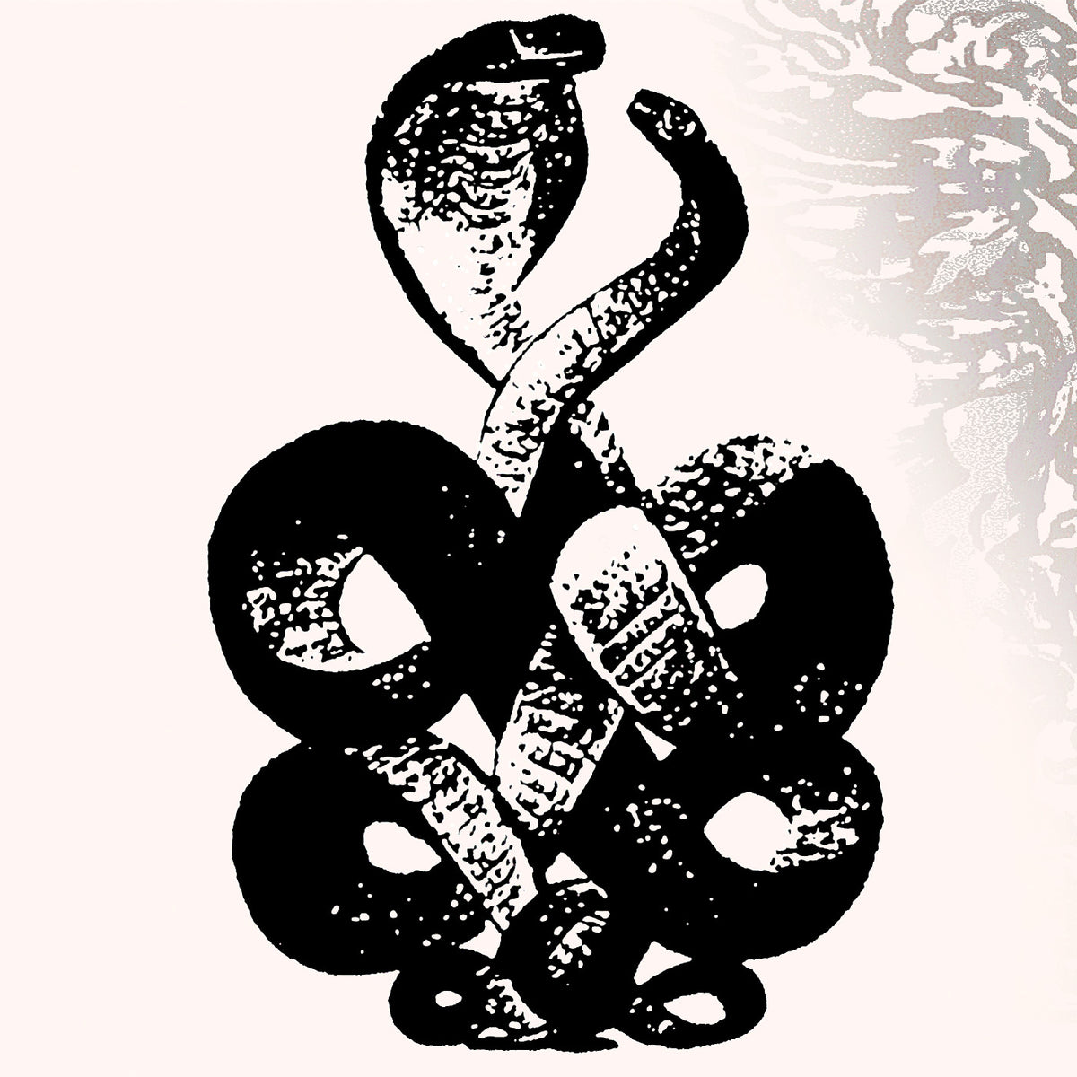 Bardo Pond - Volume 4 & 5 - Vinyl