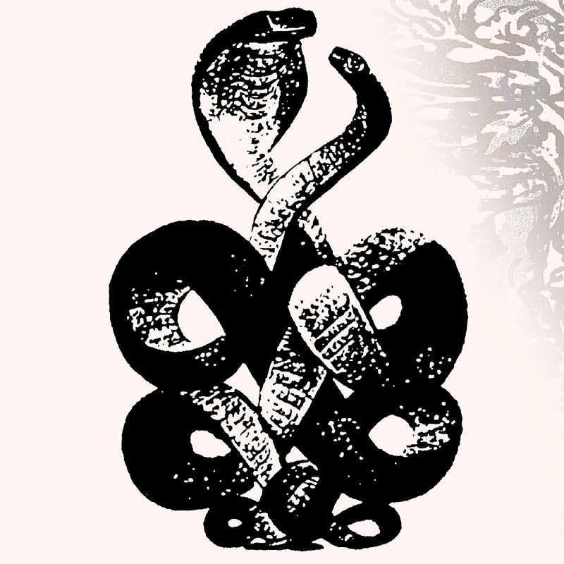 Bardo Pond - Volume 4 & 5 - Vinyl