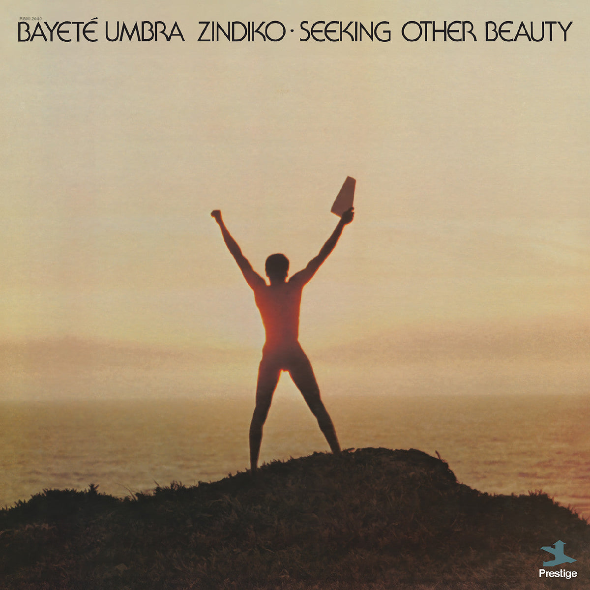 Bayeté Umbra Zindiko - Seeking Other Beauty (All-Analog) (Plasma Vinyl) - Vinyl