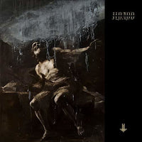 Behemoth - I Loved You At Your Darkest (Amber Colored Vinyl) (2 Lp's) - Vinyl