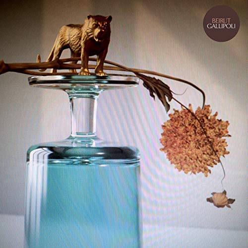 Beirut - Gallipoli - Vinyl