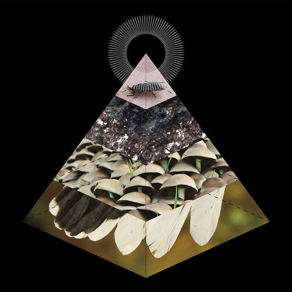 BELUS - Apophenia - Vinyl