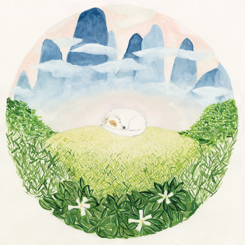 Ben Hackett - Songs For Sleeping Dogs - CD