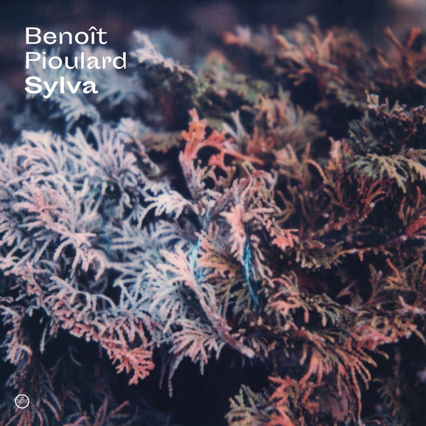 BENOIT PIOULARD - Sylva - CD