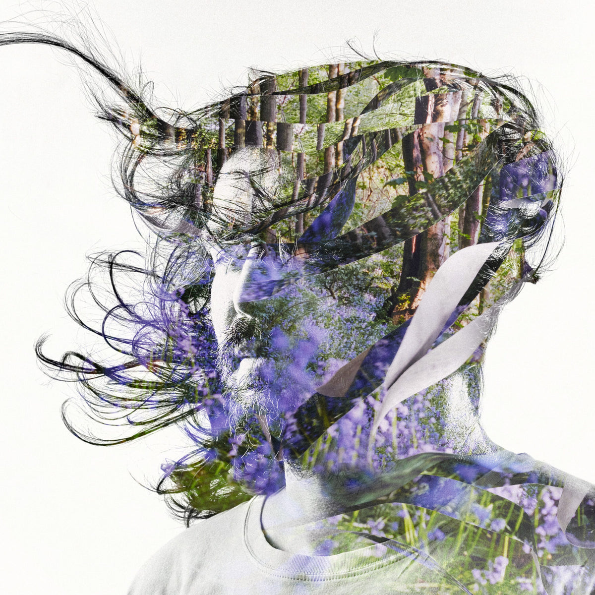 Bibio - Ribbons - Vinyl