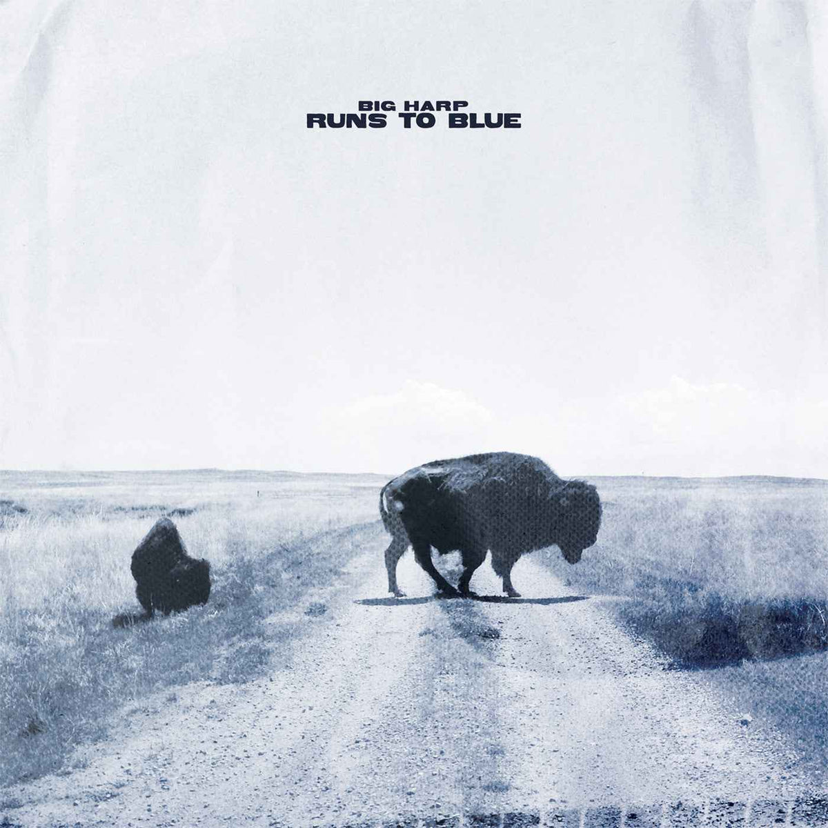 Big Harp - Runs To Blue (Opaque Blue Vinyl) - Vinyl