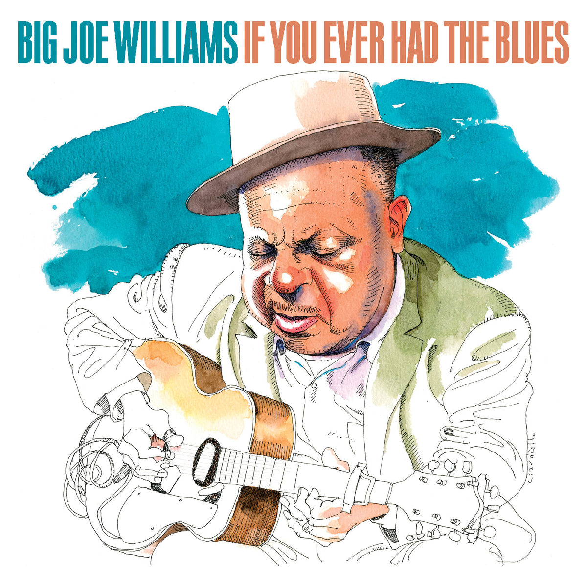 BIG JOE WILLIAMS - If You Ever Had The Blues - CD