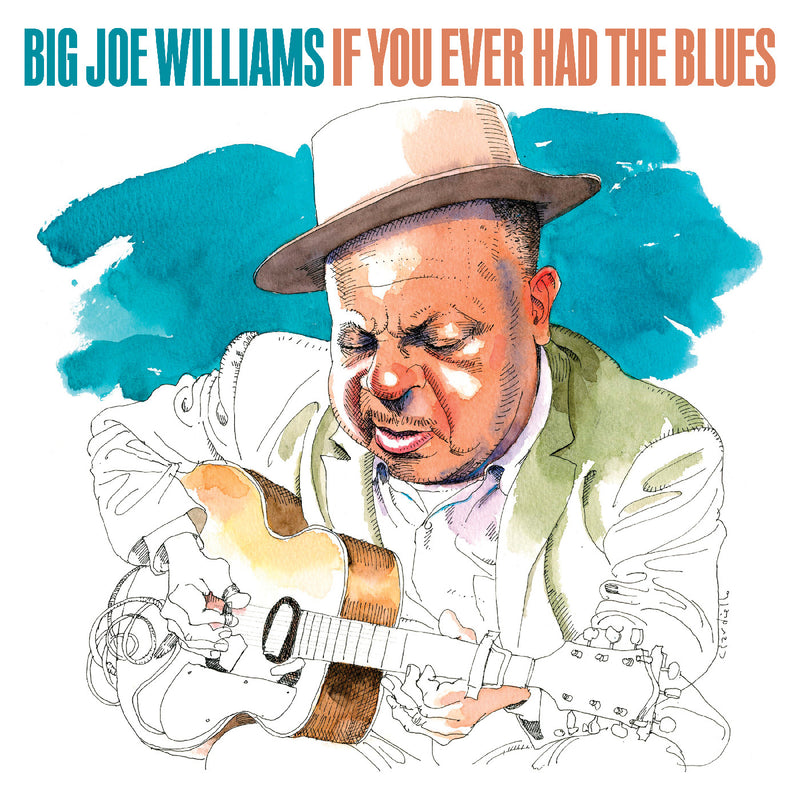 BIG JOE WILLIAMS - If You Ever Had The Blues - CD