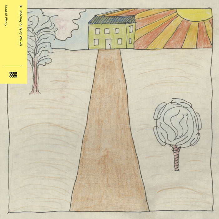 Bill and Ryley Walker MacKay - Land Of Plenty - Vinyl