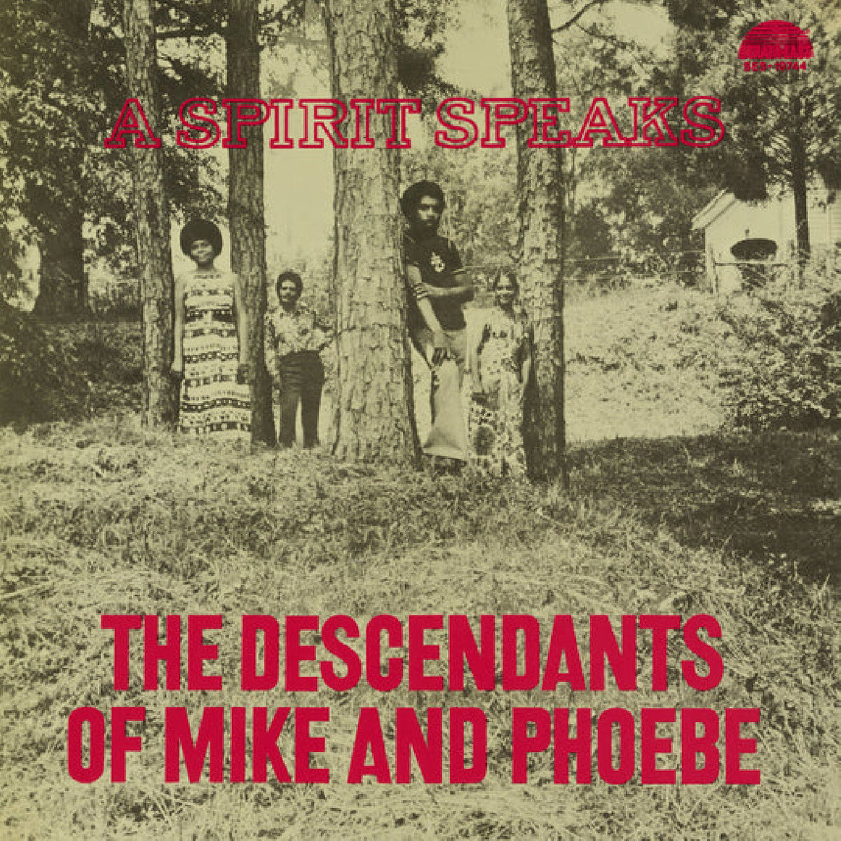 Bill Lee Descendants Of Mike And Phoebe The - A Spirit Speaks (Deluxe Edition) - Vinyl