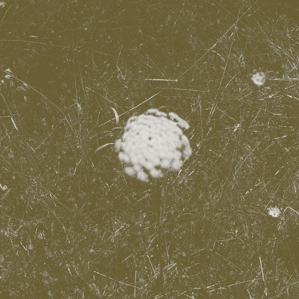 BILL SEAMAN & STEPHEN VITIELLO - The Clear Distance - CD