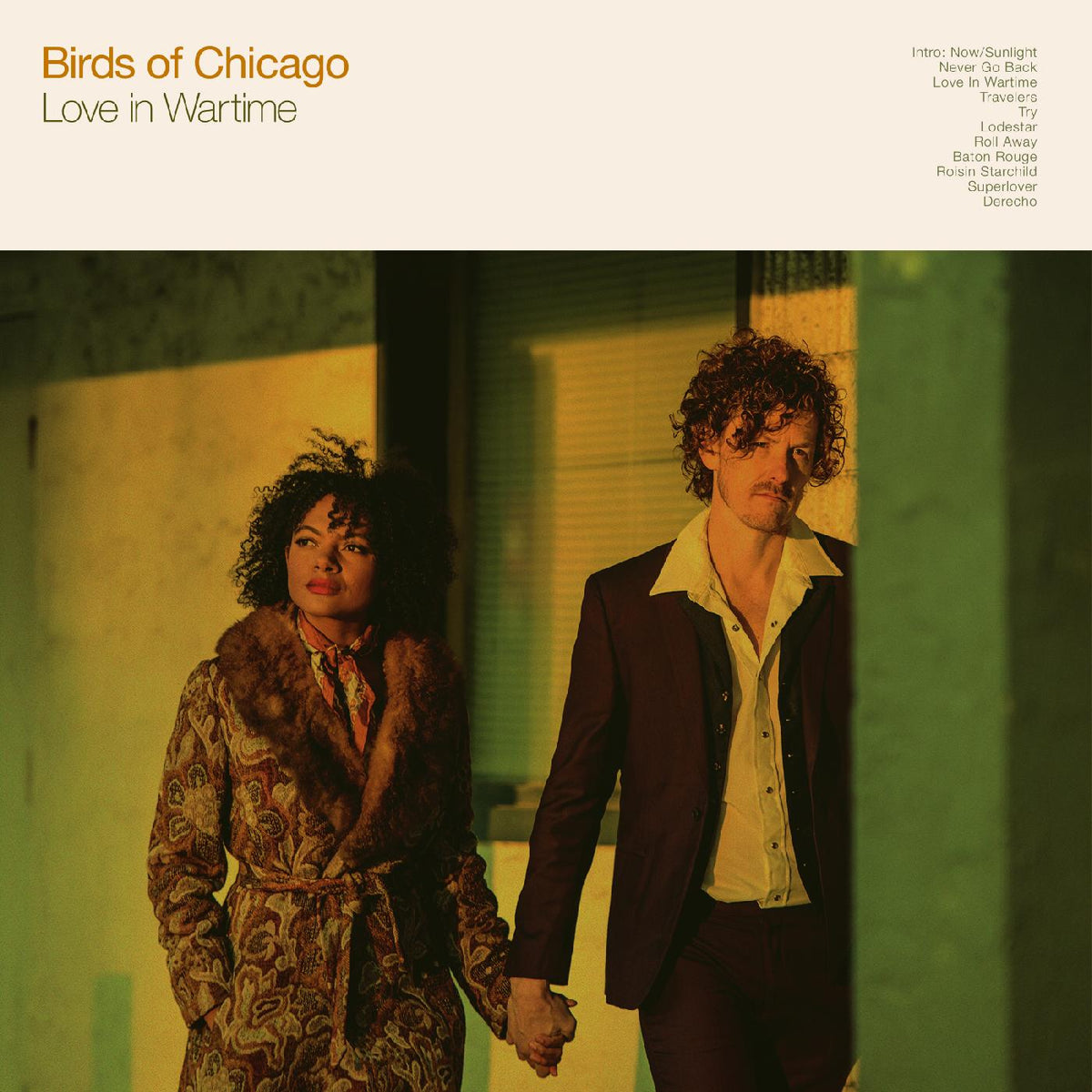 Birds of Chicago - Love In Wartime - Vinyl